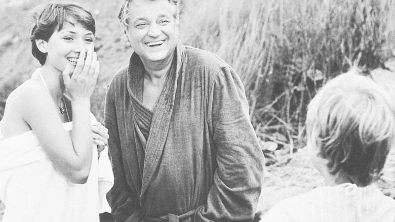 Gelb Ist Nicht Nur Die Farbe Der Sonne (1979)