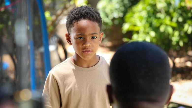 Seaweed Snacks (2026)