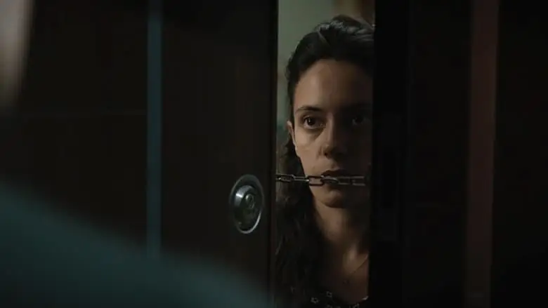 Glass Curtain (2023)