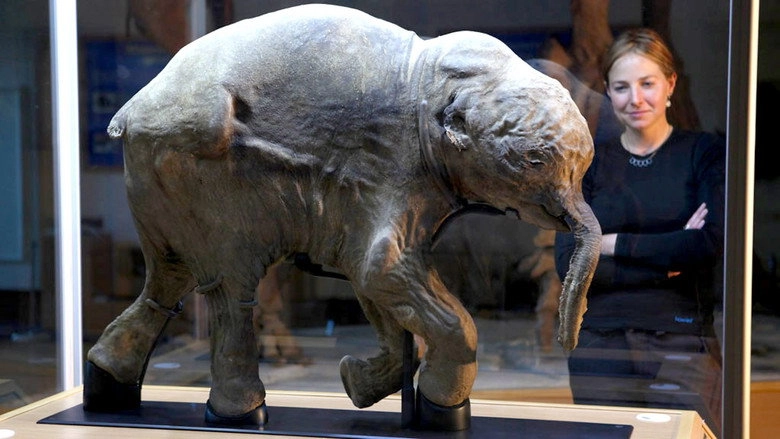 Woolly Mammoth: Secrets From The Ice (2012)
