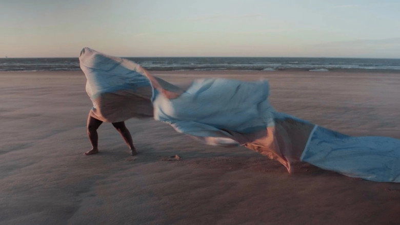 Blue Has No Borders (2026)