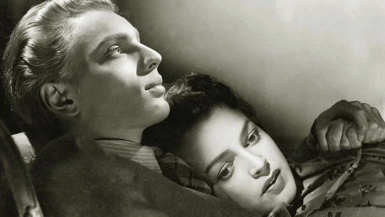 Maija Loytaa Savelen (1950)