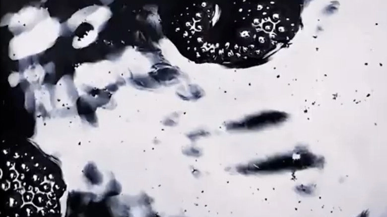 Fluids (2022)
