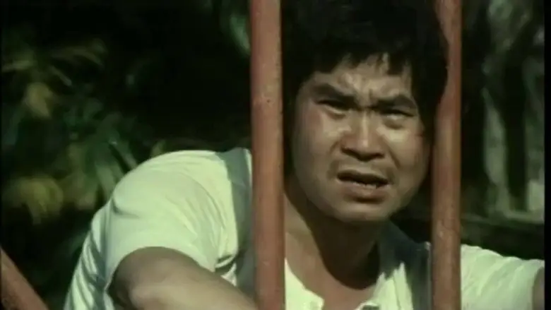Liang Shan Guai Zhao (1979)