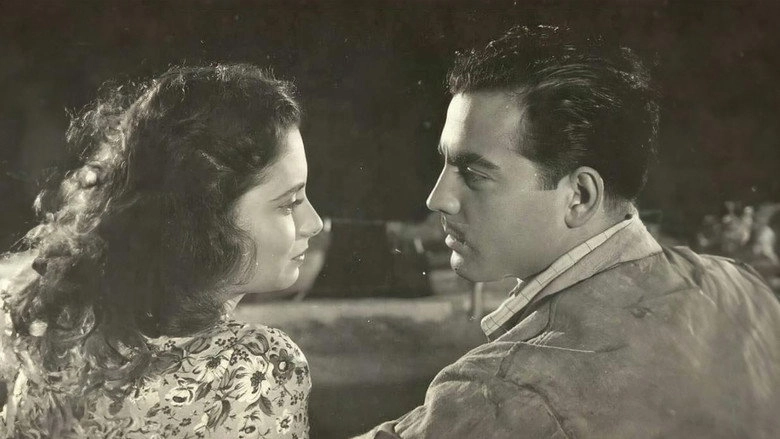 Olduren Sehir (1953)