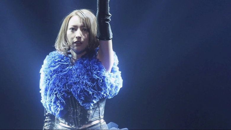Eir Aoi 5th Anniversary Special Live 2016~LAST BLUE~at Ri Ben Wu Dao Guan (2017)