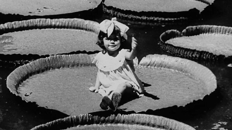 Victoria Regia (1937)