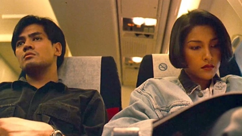 The Immigrant (1993)