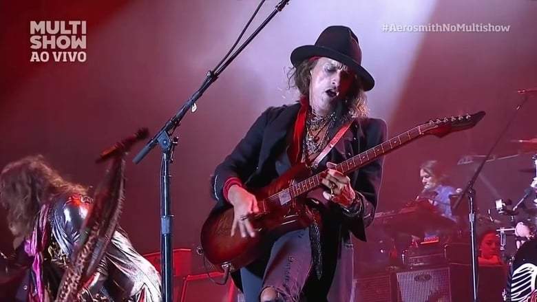 Aerosmith: Monsters Of Rock 2013 (2013)