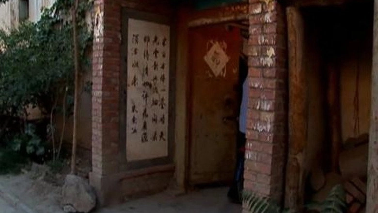 The Last Village (2013)
