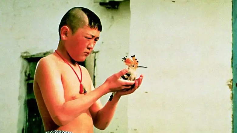 The Adopted Son (1999)