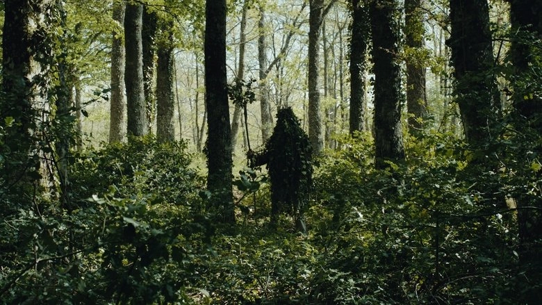Trees (2013)