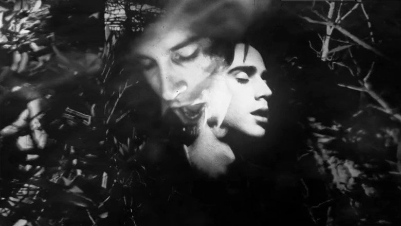 The Exquisite Corpus (2015)