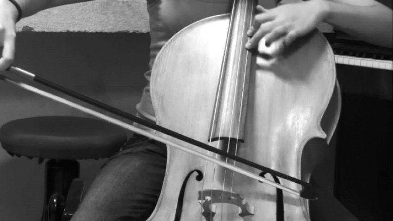 The Violoncellist: A Reinterpretation Of Modigliani (2014)