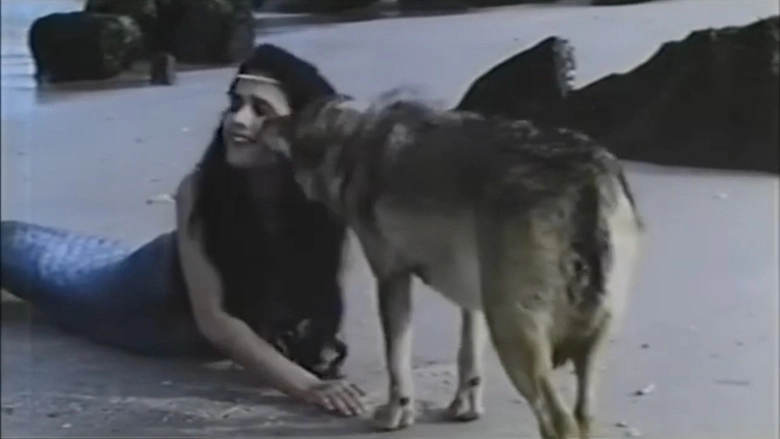 O Camino Das Estrelas: Galicia (1993)