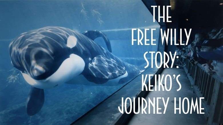 The Free Willy Story - Keiko's Journey Home (1999)