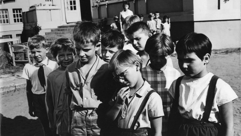 Die Suche Nach Dem Wunderbunten Vogelchen (1964)