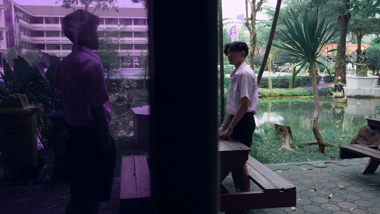 Secret Among Wings (2022)