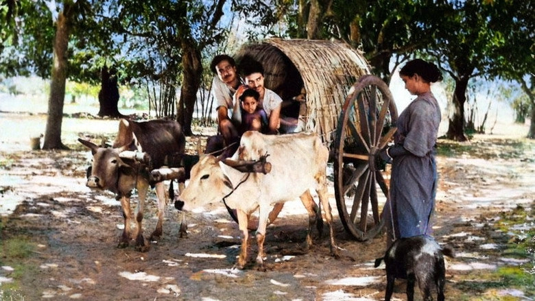 Bhai Bhai (1956)