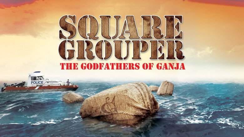 Square Grouper (2011)