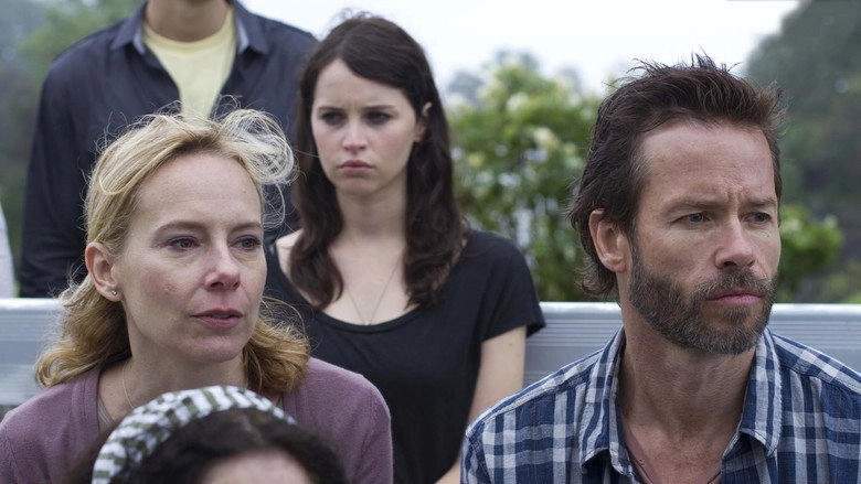 Breathe In (2013)