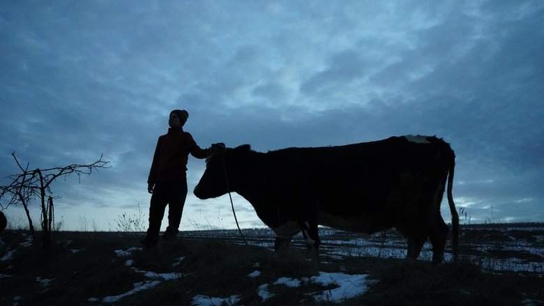 Animals In War (2025)