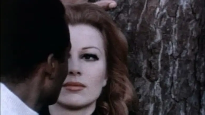 Attraction (1969)