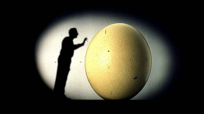 Il Mnemonista (2000)