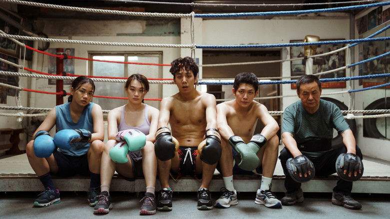 A Dance With Rainbows (2026)