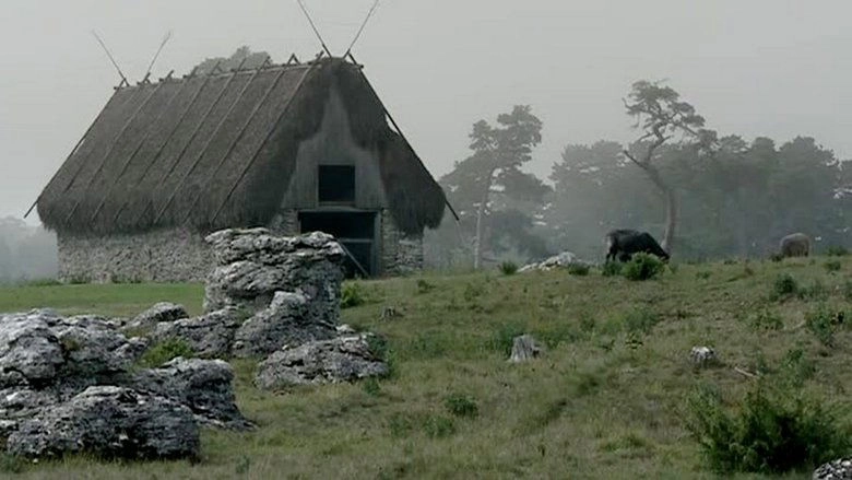 Bergman Island (2006)
