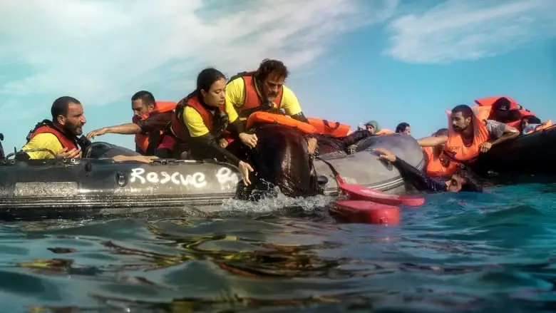 Mediterraneo: The Law Of The Sea (2021)