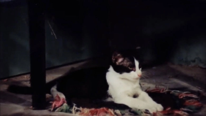 A Doll's Heart (1987)
