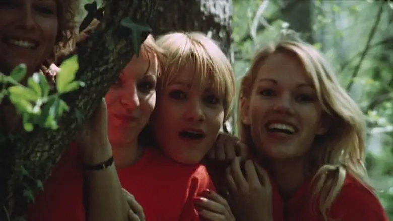 The Amorous Sisters (1980)