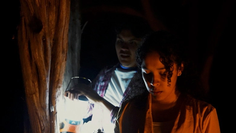 Yo Yo Springs (2026)