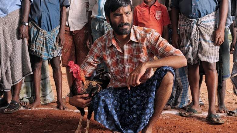 Aadukalam (2011)