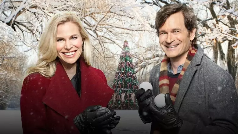 Christmas Connection (2017)