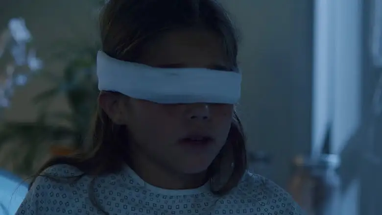 The Nurse (2017)