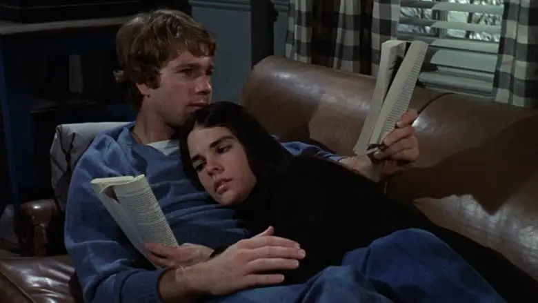 Love Story (1970)