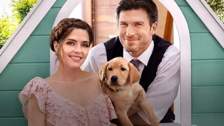 Love Unleashed (2019)