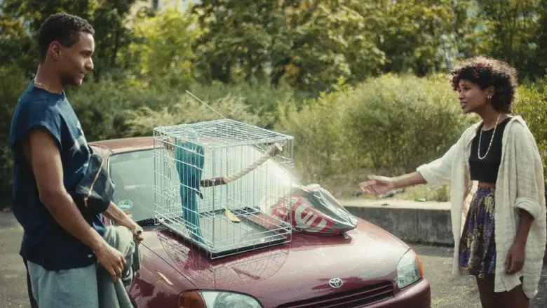 Bird Of Paradise (2021)