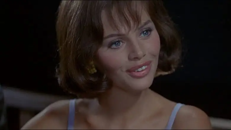 After The Fox (1966)