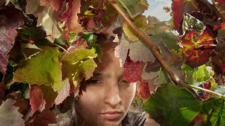 Fogo Do Vento (2025)