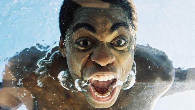 Meu Tio Matou Um Cara (2004)