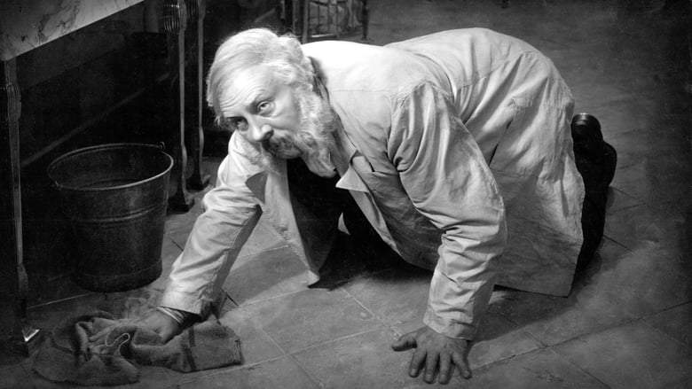 The Last Laugh (1924)