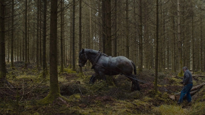 Trees (2022)