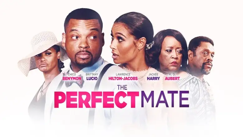 The Perfect Mate (2020)