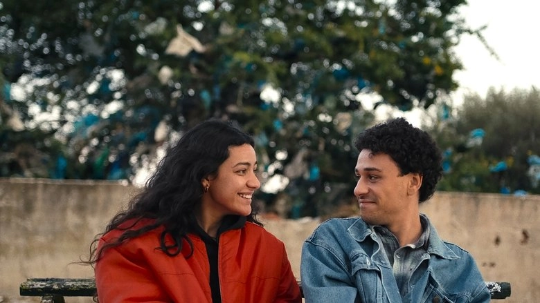 Tunis Djerba (2025)
