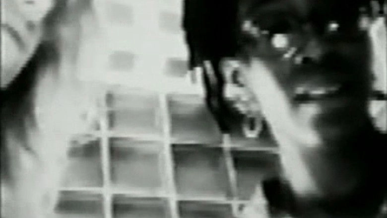 Strange Weather (1993)