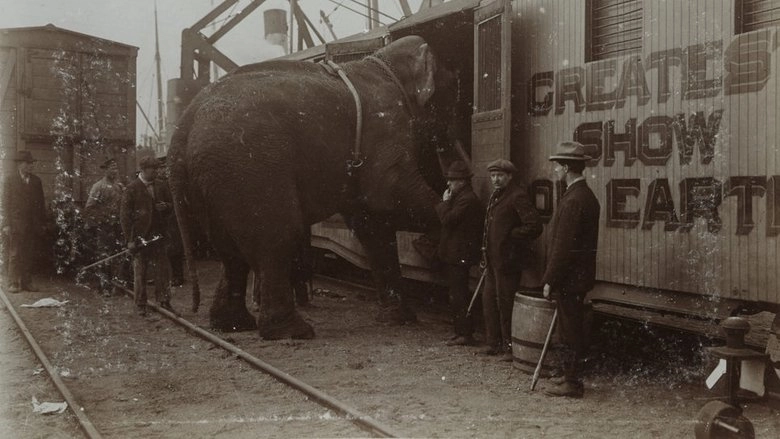 La Tragique Histoire De Fritz L'elephant (2023)