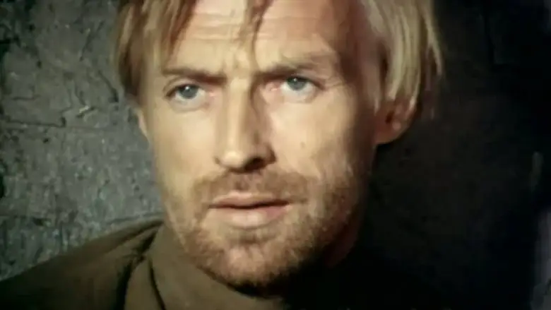 Dolg (1977)